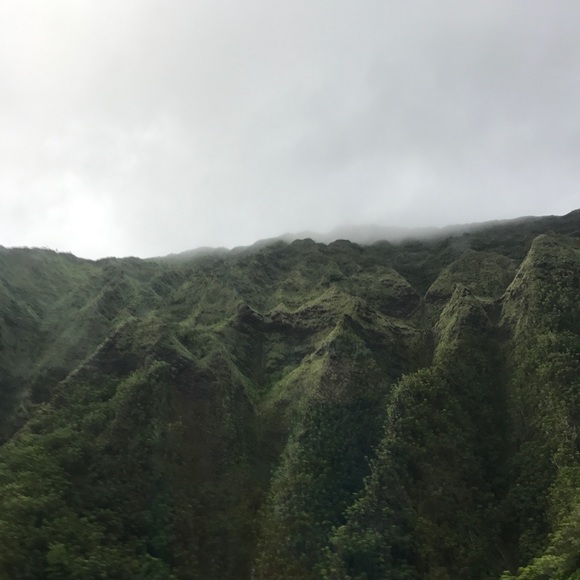 Meet your Posher, Jess - Picture 1 of 1